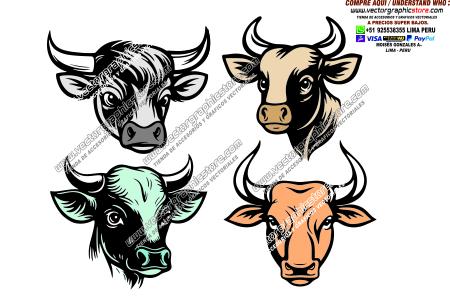 toros vacas